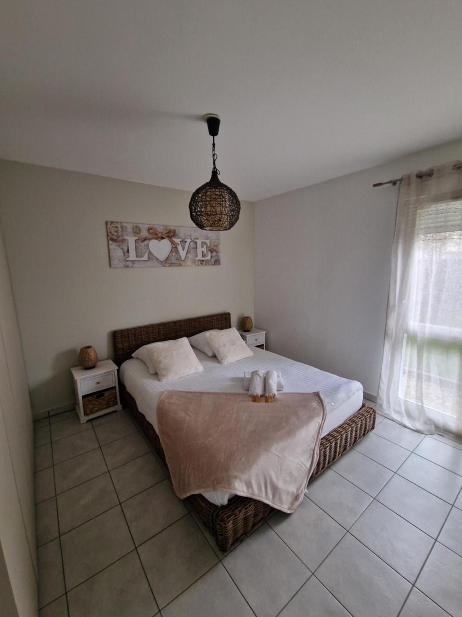 Cosy Groupama Stadium-ldlc Arena Apartment *